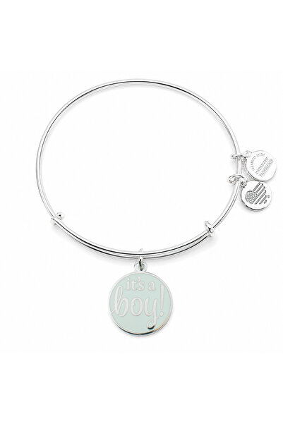 Alex and Ani Bratara Metal A19EBIABSS