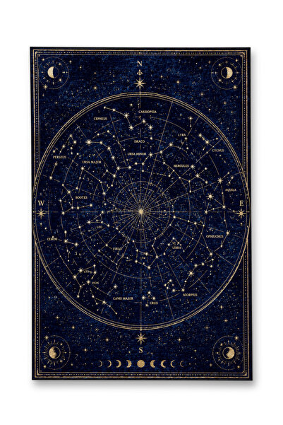 SDT Fish Theme Patterned Modern Woven Base Decorative Carpet mosso3422