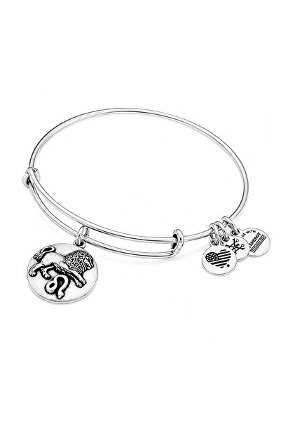 Alex and Ani Bratara Metal A16EB54RS