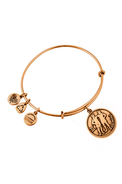 Alex and Ani Bratara Metal A13EB01GERG