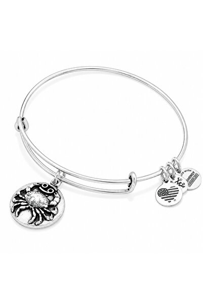 Alex and Ani Bratara Metal A16EB52RS