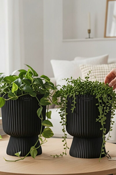 TEMMUZ HOME Lotus 2'li Set 1.8 Litre Ayaklı Saksı - 19.5 cm X 14 cm Çiçek ve ...