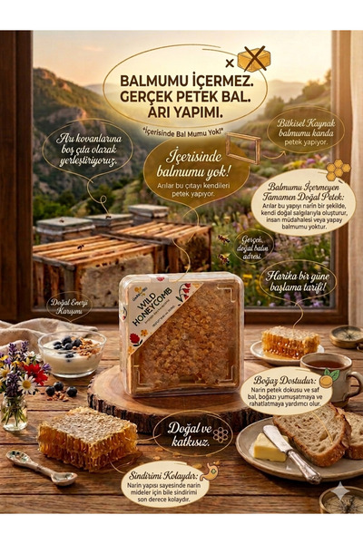 Seel From Anatolia Hakiki Petek Bal 500 gr - %100 Doğal Arı Yapımı Ahşap Çerç...