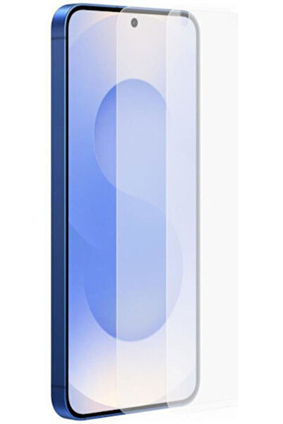 OEM Προστατευτικό Οθόνης 2 τεμάχια (Galaxy S25+)