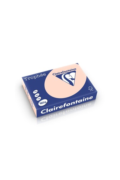 Clairefontaine Χαρτόνι Α4 160 γρ./τ.μ. απαλό χρώμα 250 φύλλα/πακέτο σαλμόν "