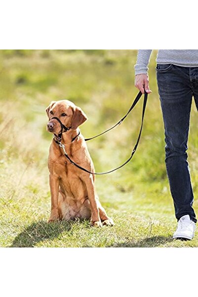 Yıldızan Terra Organik Expert Dog Training Collar L-Xl 37cm Terra Organik 102...