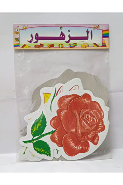 Educational Cut-out pictures - Flowers