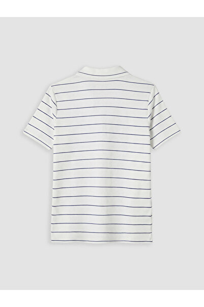 LC Waikiki Navy Blue Polo Neck Striped Women's T-Shirt