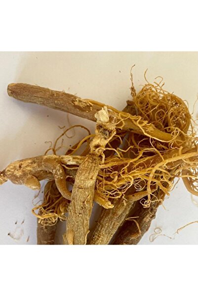 Ege Pazarından Kırmızı Ginseng Kökü 20 panax kore ginsengi
