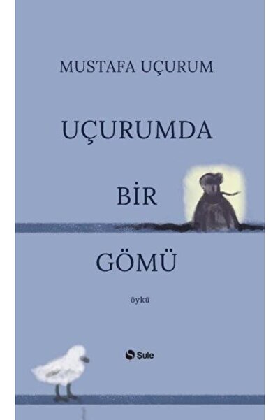 Şule Yayınları Uçurumda Bir Gömü