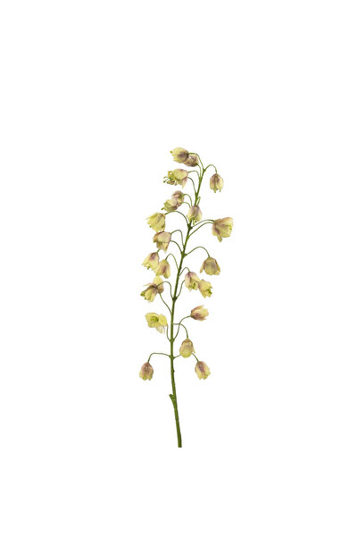 Midas Furniture ARTIFICIAL FLOWER 111CM POLYESTER BROWN