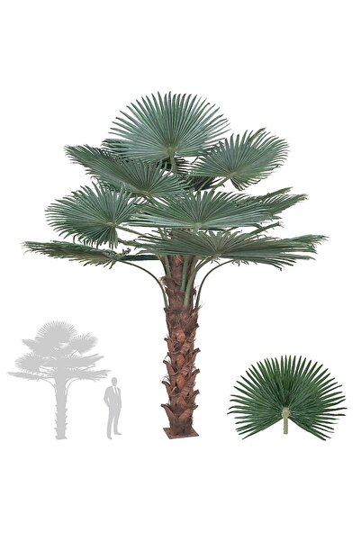 Roberto Rossi Palmier artificial H300cm Washingtonia, coroană D370cm cu prote...