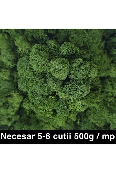 Roberto Rossi Licheni curatati si fara radacina conservati 500g NET, calitate...