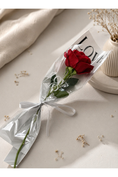 İNCİ sepette 1 Rose with the Message "I Love You" Written on It, Single Rose ...