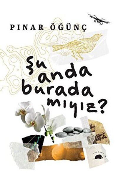 Kolektif Kitap Şu Anda Burada Mıyız?