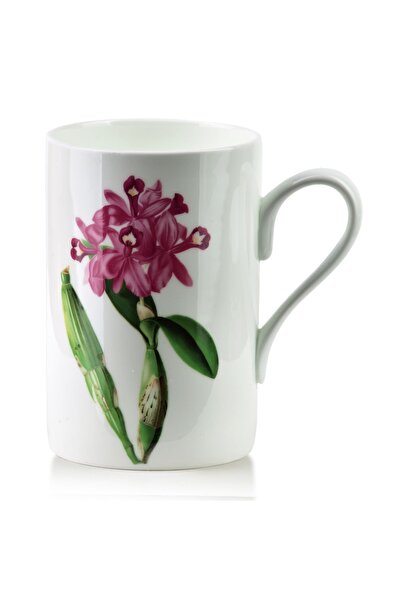 MONDEX Cană Bone China Armano ARMANO 410 ml 7.8x11x11.5 cm Albă 1 buc.
