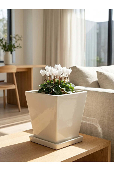 VaseAtelier Nexa El Yapımı Kare Modern Salon Dekoratif Beton Saksı 6 Lt Bej