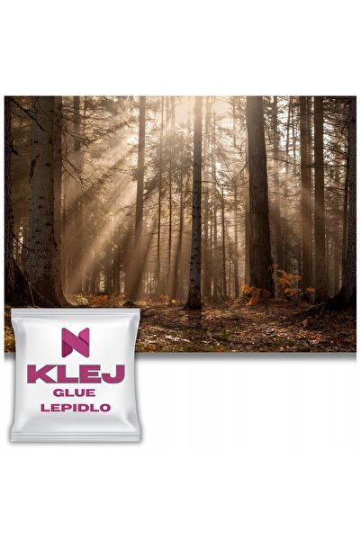 Naklejkomania Fototapet Modern Pentru Sufragerie Padure, Copaci Si Raze De So...