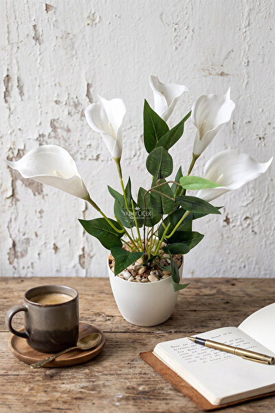 Yapay Çiçek Deposu Artificial Petra Premium White Gala Arrangement 32 cm