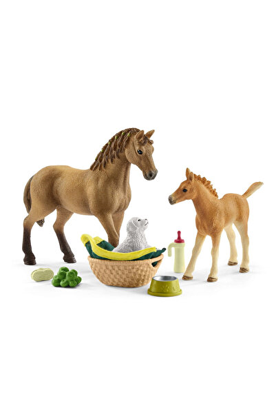 SCHLEICH Clubul Căluțelor - Set de îngrijire pentru animalele lui Sarah