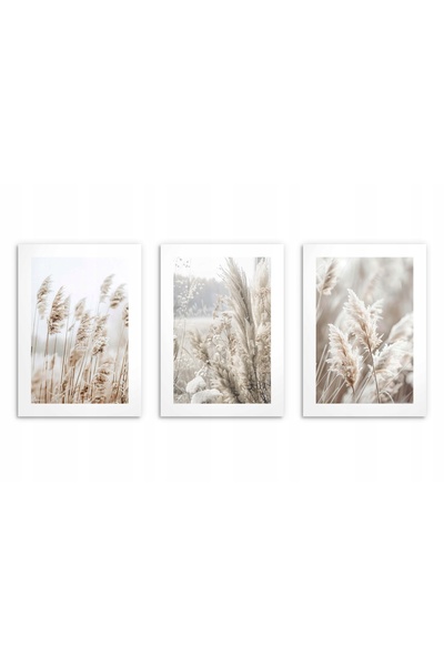 Naklejkomania Postere pentru perete in living, Trastie boho 3x 50x70cm