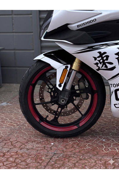 Banxtre 17 Inch Compatible Taycan Model Wheel Sticker for Motorcycle Rim