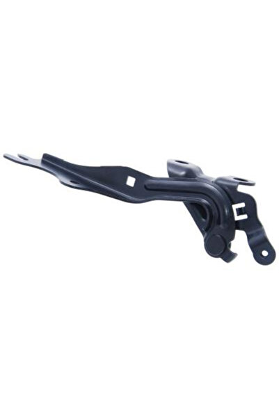 FEBEST Balama, capota motor 0599-GGLH