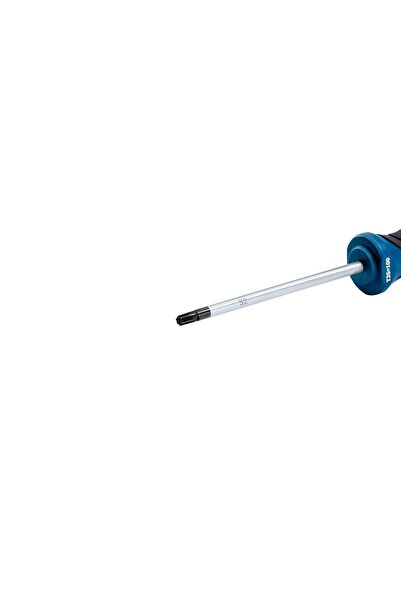 Bosch Profesyonel Torx Tornavida TX25x100 mm 1600A01V0D