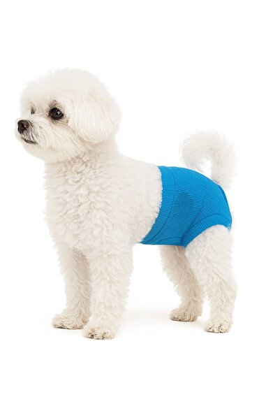 Buddy Store Evcil Hayvanlar için Regl Külotları