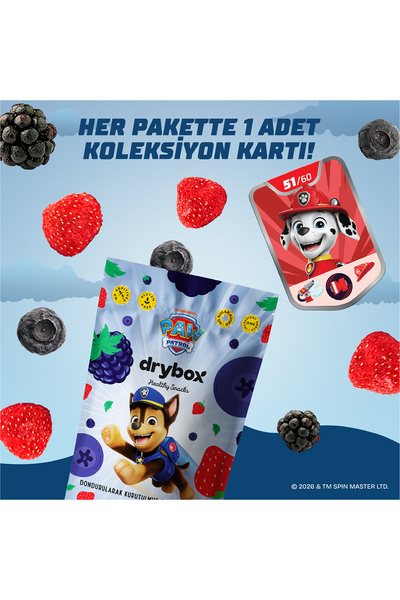 Dondurularak Kurutulmuş Çıtır Orman Meyveleri 16g - %100 Doğal Çıtır Sağlıklı Atıştırmalık