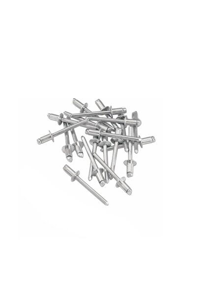 OEM Pop nituri 4.8x18mm set 100