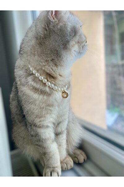 BİJUTERİ EVİ İncili Kedi Tasması – Ayarlanabilir, Şık Kedi Boyun Kolyesi