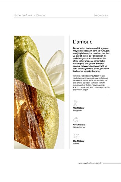 Royal Platinum Lamour Kadın Parfüm EDP 100ml Sümbülteber - Bergamot - Amber Çiçeksi Seri
