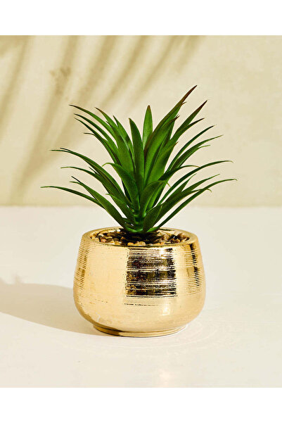 REDTAG Gold Embellished Artificial Aloe Vera In Ceramic Pot
