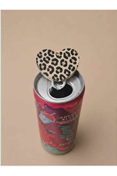 DU&ER 2-Pack Can Drink Opener, Carbonated Drink Can Lid Opener / Keychain