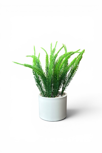 YAPAY ÇİÇEKÇİNİZ Coada de pisică artificială decorativă într-un ghiveci de culoare albă