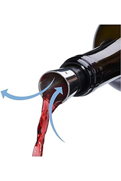 Yıldızan Msa Shop Vino Steel Wine Decanter & Stopper 931845