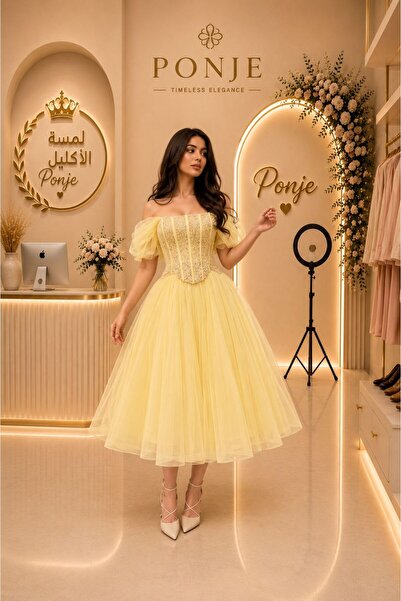 genric Elegant Dress with a Charming Design