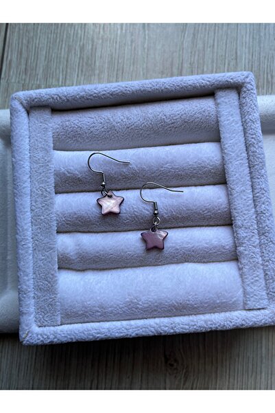 Pel Design Yıldız Sede F Stone Steel Standard Earrings Handmade