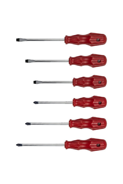 Master Tornavida Seti 6'lı Düz ve Yıldız 4x100 5x125 6x150 Ergonomik Saplı To...