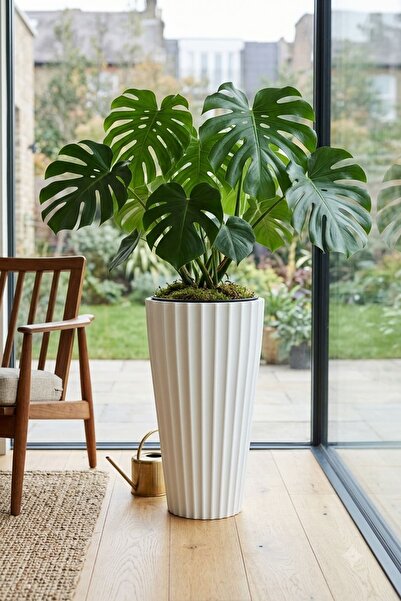 Alezy Lilyum Dekoratif Çizgili Saksı Vazo 70cm No:2 16Lt Beyaz