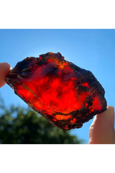 Choice 1pc(about 50-60g) Natural Raw Amber Stone Rough, natural mineral treas...