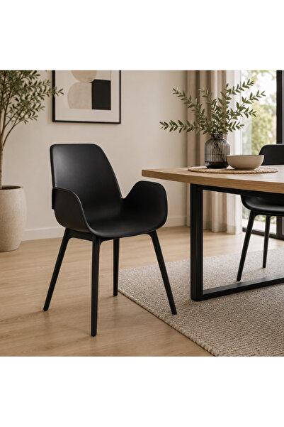 Palma homez Multi-Color Dining Chair with Side Arms Modern Design