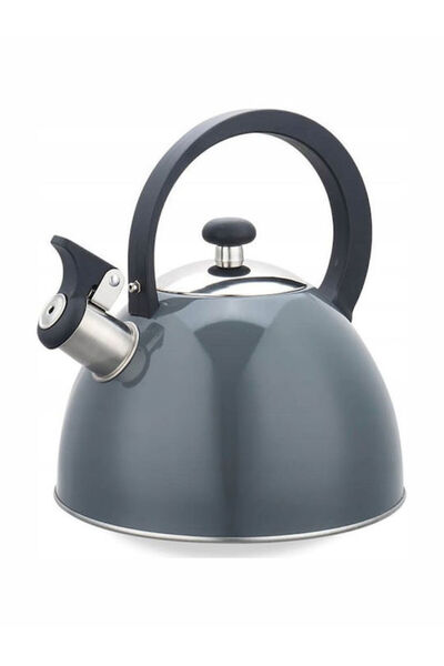 Maestro Βραστήρας Ανοξείδωτος Γκρι 2500ml