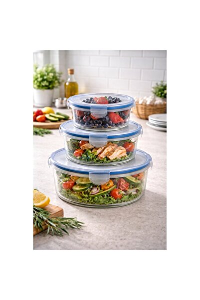 Empressco Practical Air-Tight Lockable Storage Container Set of 3