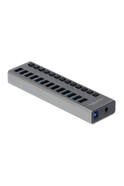DELOCK USB hub 63738 με διακόπτες, 13x θυρών, 5Gbps, γκρι