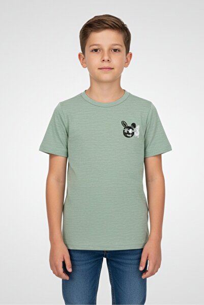 Blue Heritage Kids Boy Crew Neck Short Sleeve Graphic Print T-Shirt, Mint Green