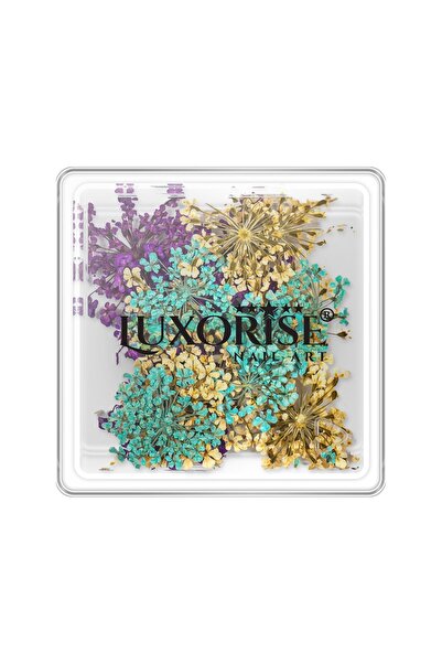 LUXORISE Flori Uscate pentru Unghii - Pură Fantezie