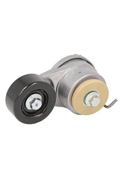FEBI BILSTEIN Intinzator,curea accesorii Hyundai Grand Santa Fe Grandeur IX35...