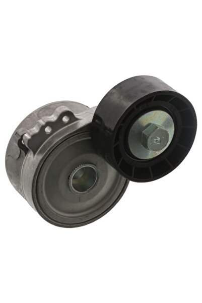 FEBI BILSTEIN Intinzator,curea accesorii Citroen Berlingo C4 I Jumper Ii Jump...
